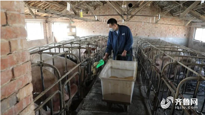 省农担:创新金融产品 破解畜牧养殖户用款难题